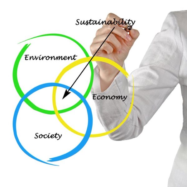 Beyond Sustainability: Introduction
