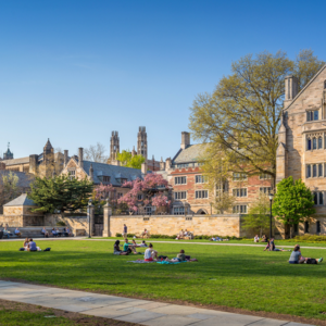 University buildings and students enjoy the sunshine on a grassy forum